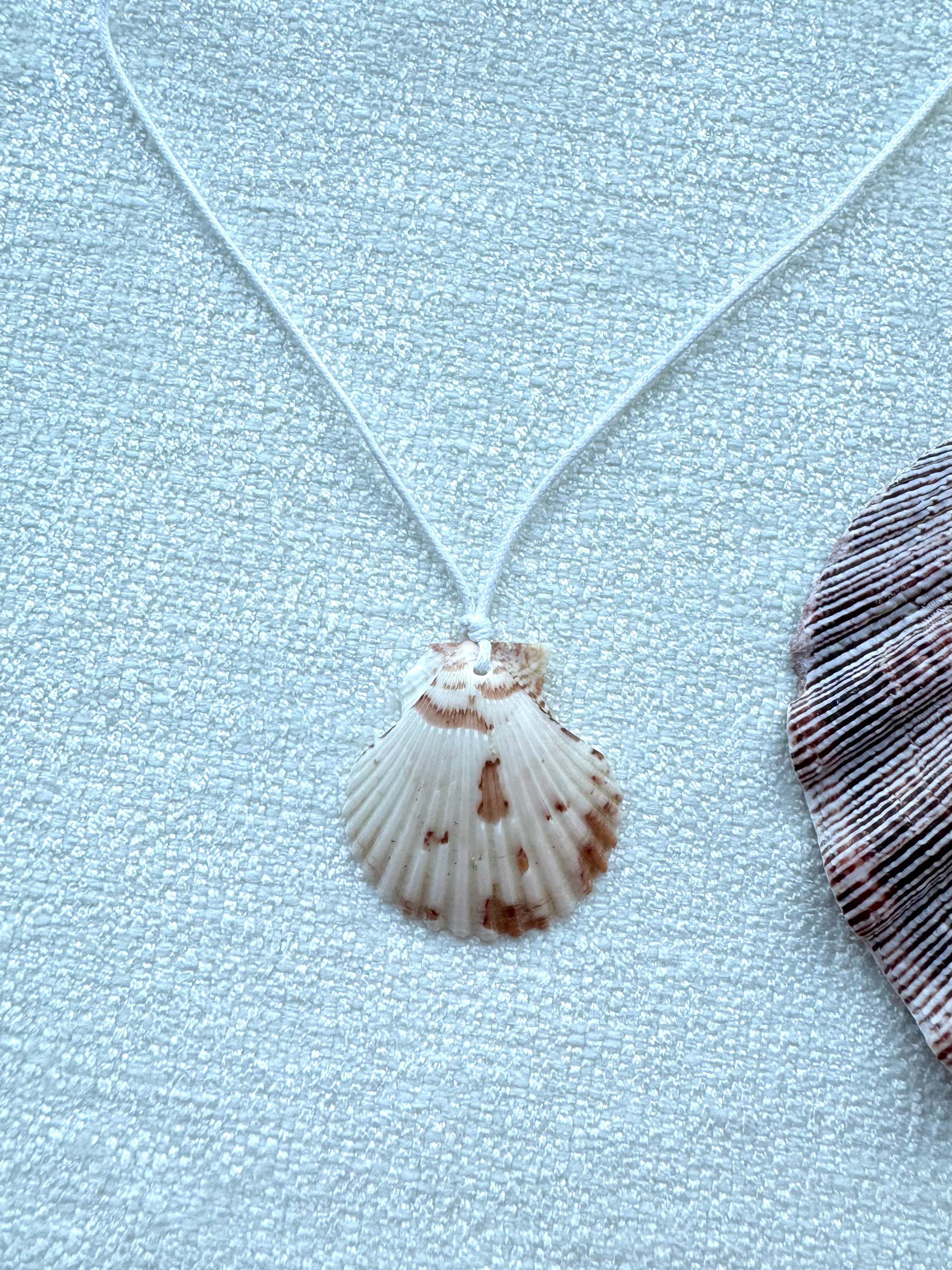 Shell Wrap Around Tie Necklace